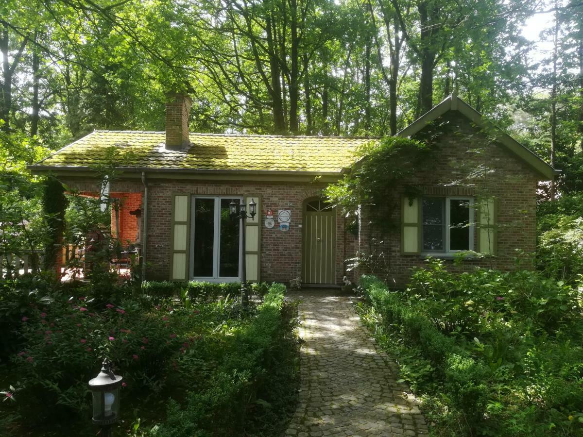 Rainbow Lodge Ursel Εξωτερικό φωτογραφία
